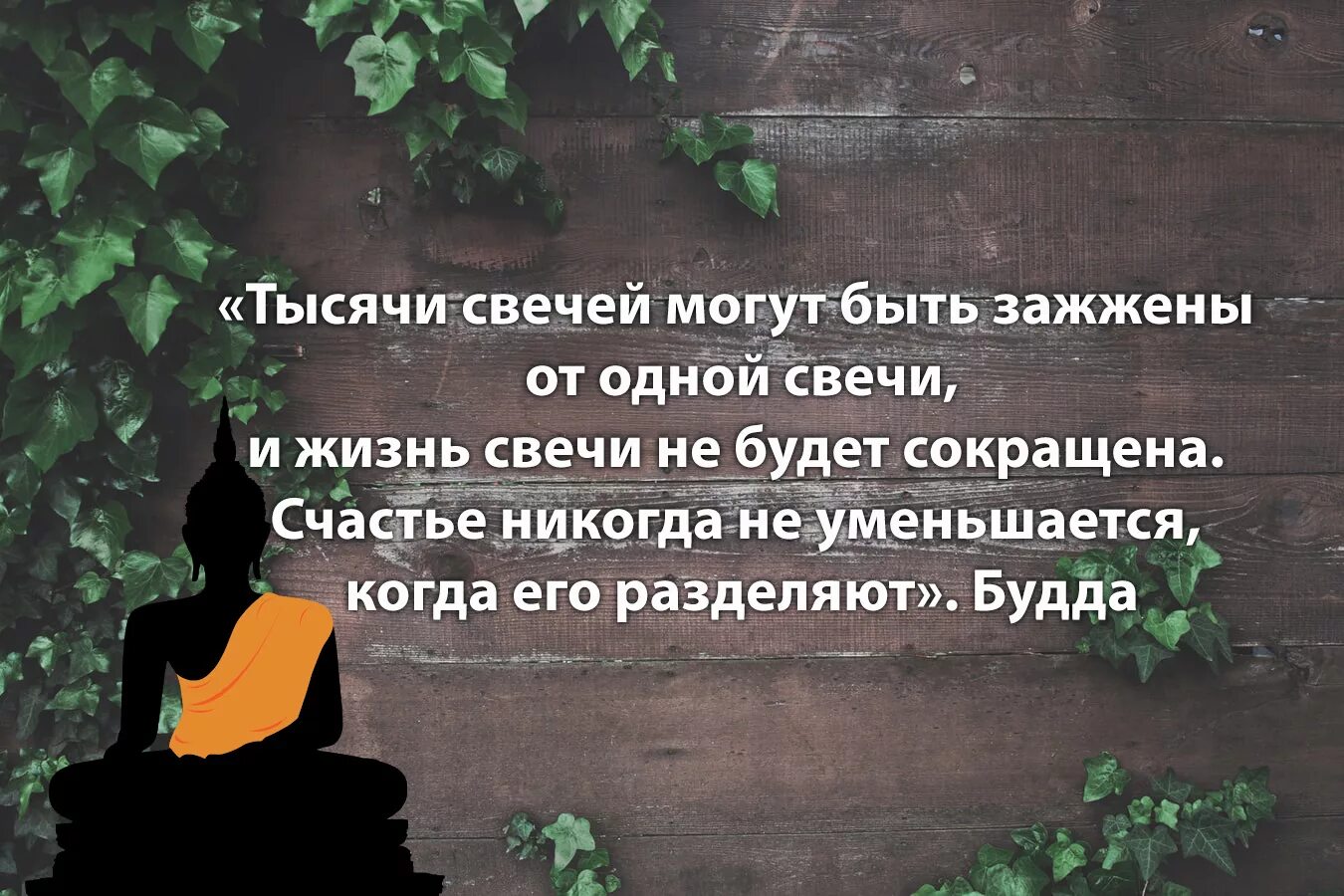 Будда шакьямуни цитаты. Будда цитаты. высказывания будды о жизни. буддийские высказывания. цитаты будды о жизни.