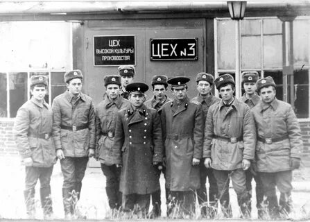 Дембель 6