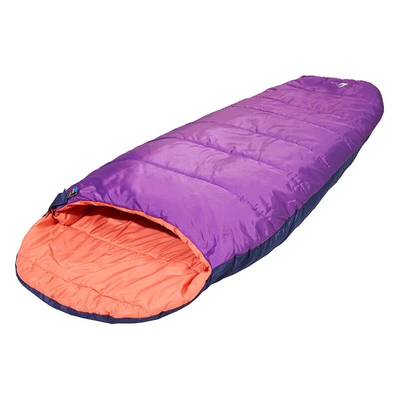 Спальный мешок производители. Actiwell Act 180 спальный мешок. Спальный мешок sleeping Bag. Спальный мешок Sint Cube 600. Спальный мешок Bluefield h10365.