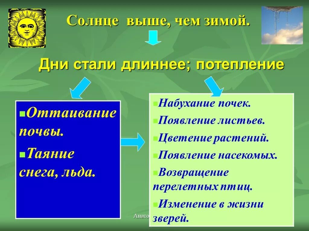 Явления живой и неживой природы весной. Изменения в живой и неживой природе весной.