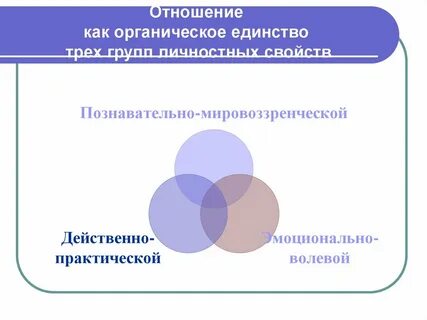 Сложное единство