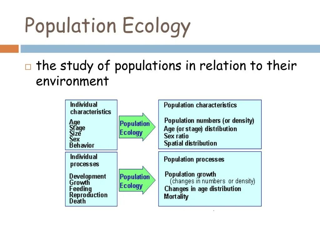 Population ecology. Ecological characteristics of the population. Overpopulation ecology. Population studies. Population based