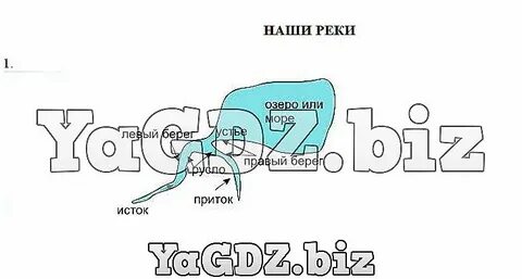 Используя информацию из текста учебника нарисуйте схему