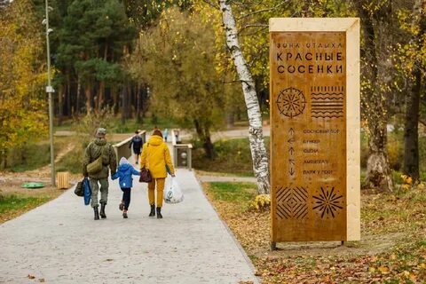 Тейково сосенки