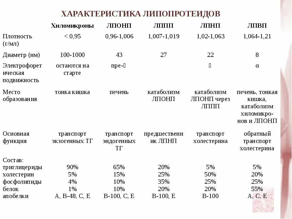 Липопротеиды низкой плотности у мужчин. Норма липопротеинов в крови. Норма липопротеинов низкой плотности. Липопротеиды показатели. Характеристика липопротеидов.