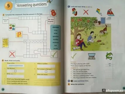Answer the questions 7 класс