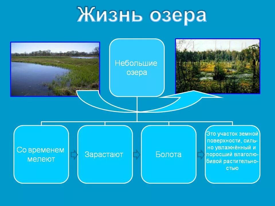 Презентация озера болота. Озеро для презентации. Презентация озера 6 класс. Озеро жизни. Что такое озеро 6 класс.