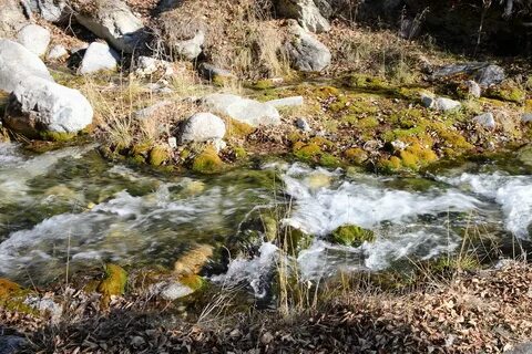 Аршан вода