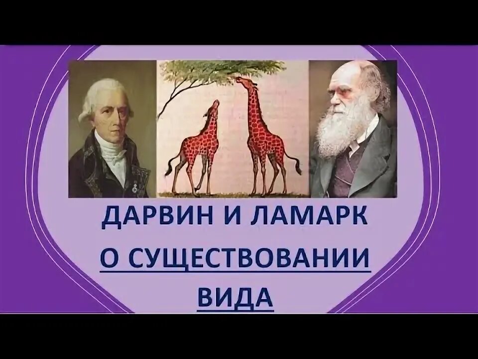 Ламарк линней дарвин таблица. История развития эволюционного учения таблица. Эволюционные теории в биологии таблица. Дарвин ламарк егэ. Ламарк линней дарвин таблица.