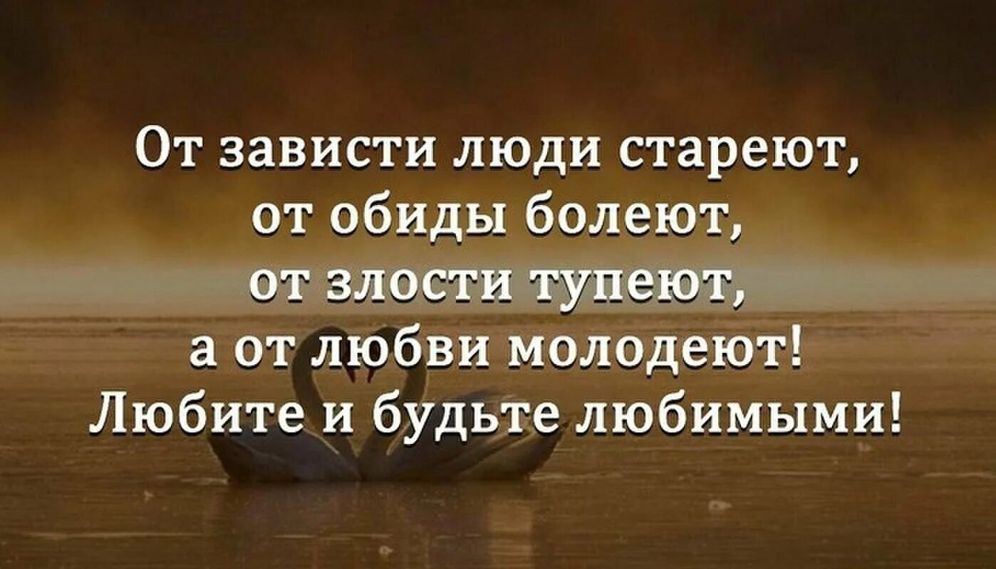 В лихости и зависти нет ни