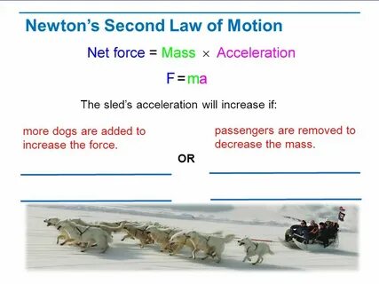 The art of motion test 1