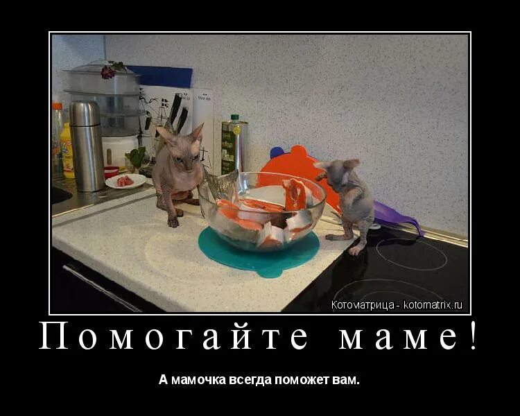 Мама всегда. Какие бывают мамы красивые. Только мама любит. Картинки помогаю маме. Я маме помогаю стих.