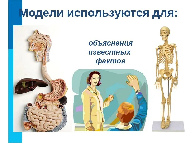 Модель может использоваться для. Модель для объяснения известных фактов. модель которая используется для объяснения известных фактов. пример модели объяснения известных фактов. модель для объяснения известных факторов.