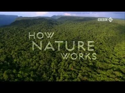 Nature works