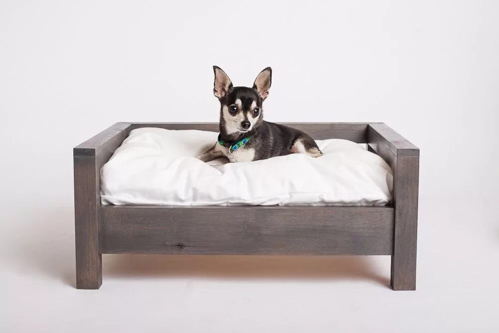 Собачья кровать для человека. Лежак для собаки elevated Dog. Кроватки для собак. Лежанка для собаки из дерева. Деревянная кровать для собаки.