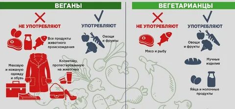 Чем питаются вегетарианцы