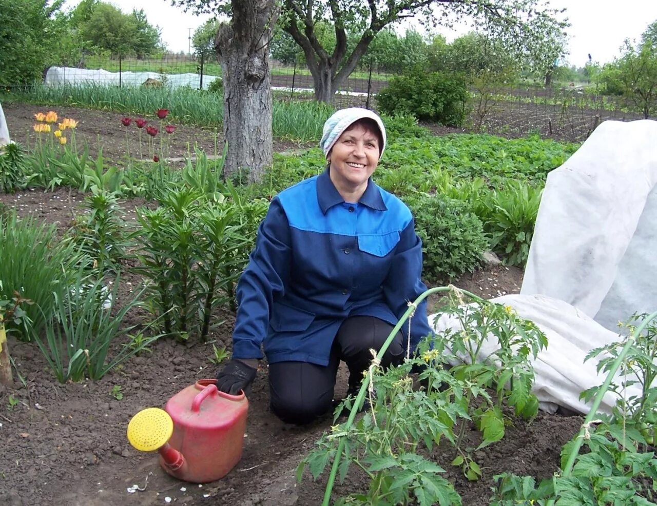 Огород дача советы. Сад огород дачники. огородники на даче. садоводы на грядках. дачник на огороде.