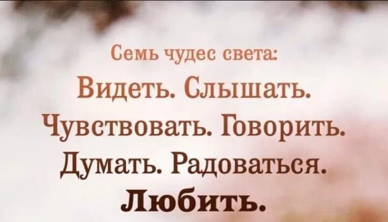 Семь чудес света видеть слышать чувствовать говорить. Семь чудес света это видеть слышать любить. Семь чудес видеть слышать.... Картинка семь чудес света видеть слышать. По видимому что то говорит