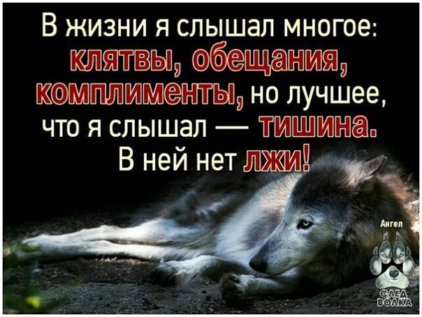 Мне слышно а меня нет
