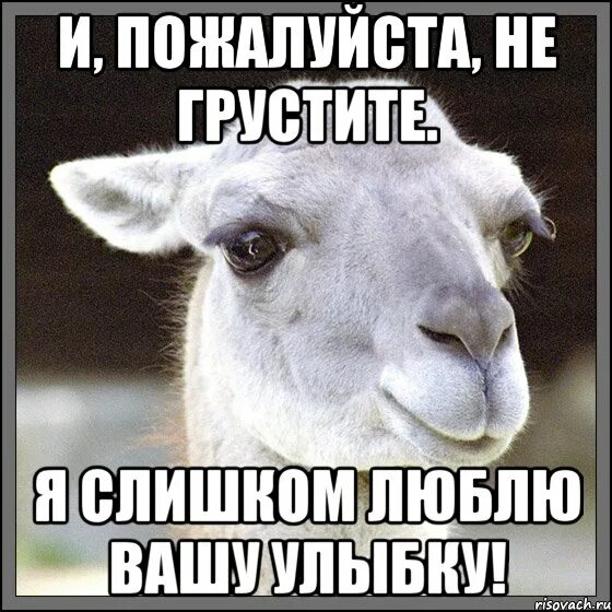 Как перестать грустить если мне нравится. Мемы чтобы не грустить. пикчи чтобы не грустить. не грустите люди. подруге чтоб не грустила.