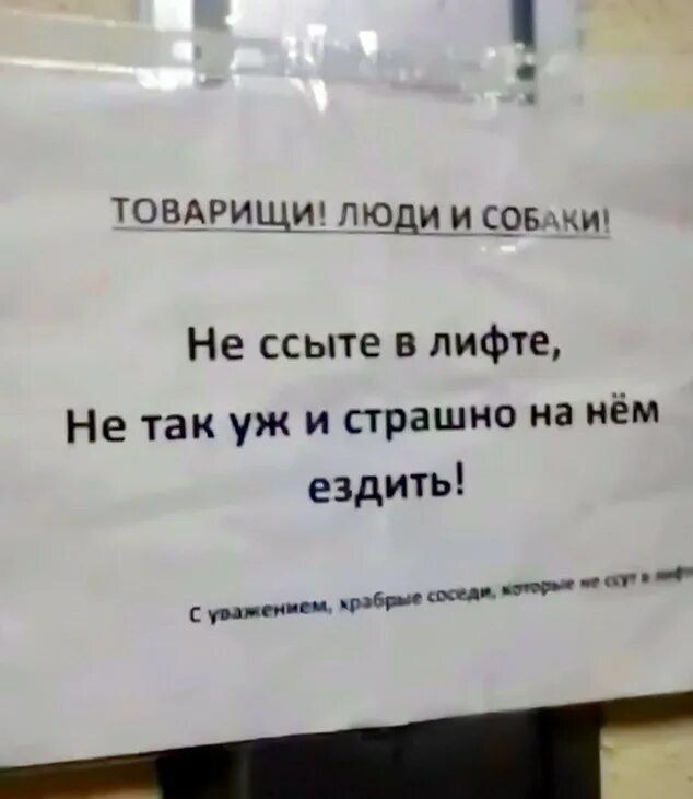 Объявление не ссать в лифте. Лифт сосед. Камера видеонаблюдения в лифте. Уважаемые соседи. Табличка лифт.
