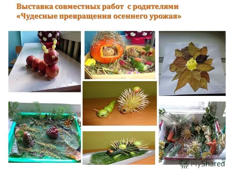 Выставка мы вместе. Выставка совместных работ. Как сделать как сделать книжку-малышку для 4 класса. Вместе на дону выставка. Книжка малышка веселый хоровод.