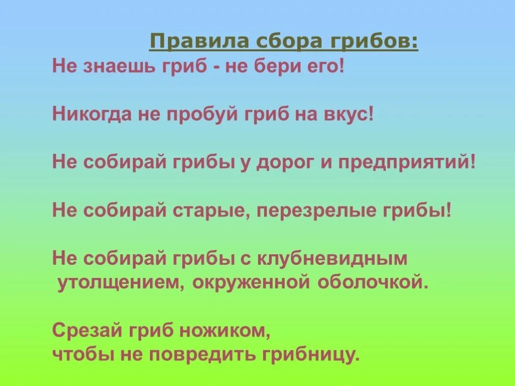 Мы знаем что когда берешь грибы. Правила сбора грибов. Памятка по сбору грибов. Правила при сборе грибов. 3 Правила сбора грибов.