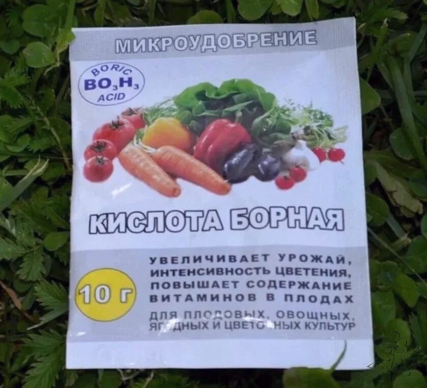 Как использовать борную кислоту для растений. Подкормка растений борной кислотой. борная кислота для томатов и огурцов. опрыскивание борной кислотой. борные удобрения для огурцов.