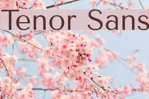 Tenor sans