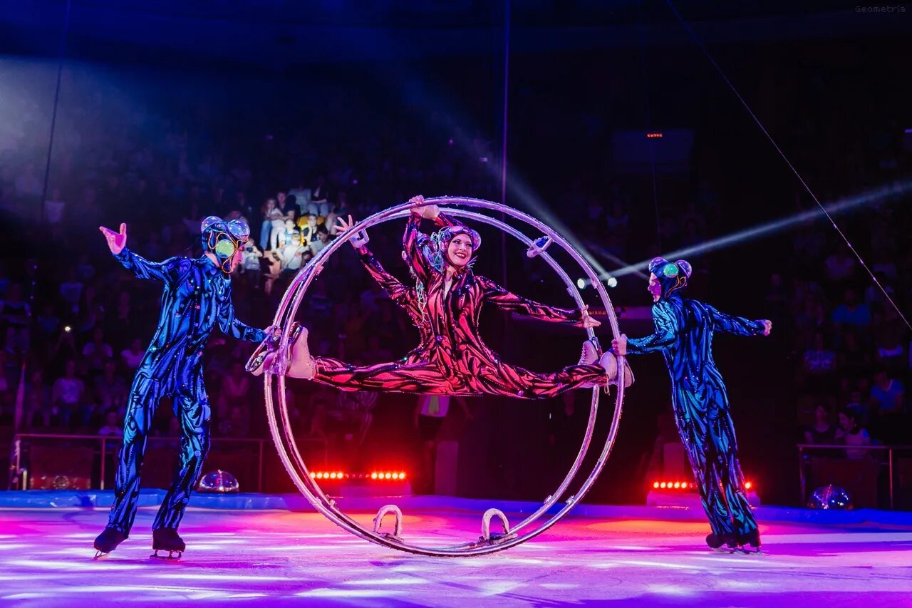 включи ролик цифровой цирк. включи ролик цифровой цирк. эквилибристика гимнастика цирк. включи ролик цифровой цирк. цирковой спектакль.