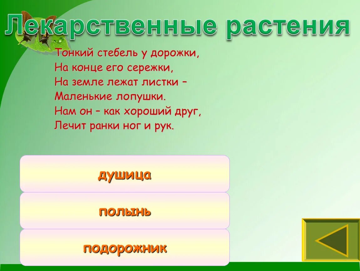 На земле лежат листки маленькие лопушки. Тонкий стебель у дорожки на конце его сережки. Тонкий стебель у дорожки на конце его сережки на земле лежат листки. Тонкий стебель у дорожки на конце. Дорожкина конце его серёжки на земле лежат листы маленькие Лапушки.