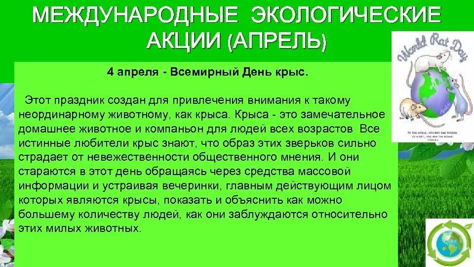 4 апреля всемирный. Всемирный день крысы 4 апреля. 4 Апреля праздник день крысы. Международные экологические акции. Международные экологические акции апрель.