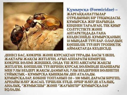 ВКонтакте желісінде майлы порно көру