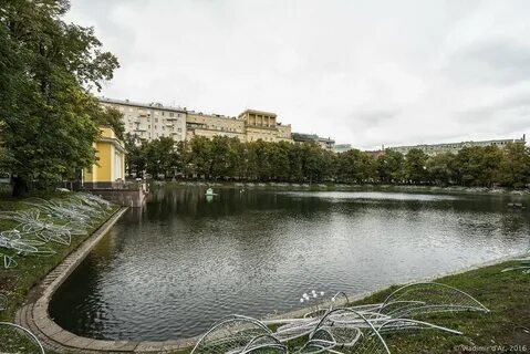 Пруды мастер