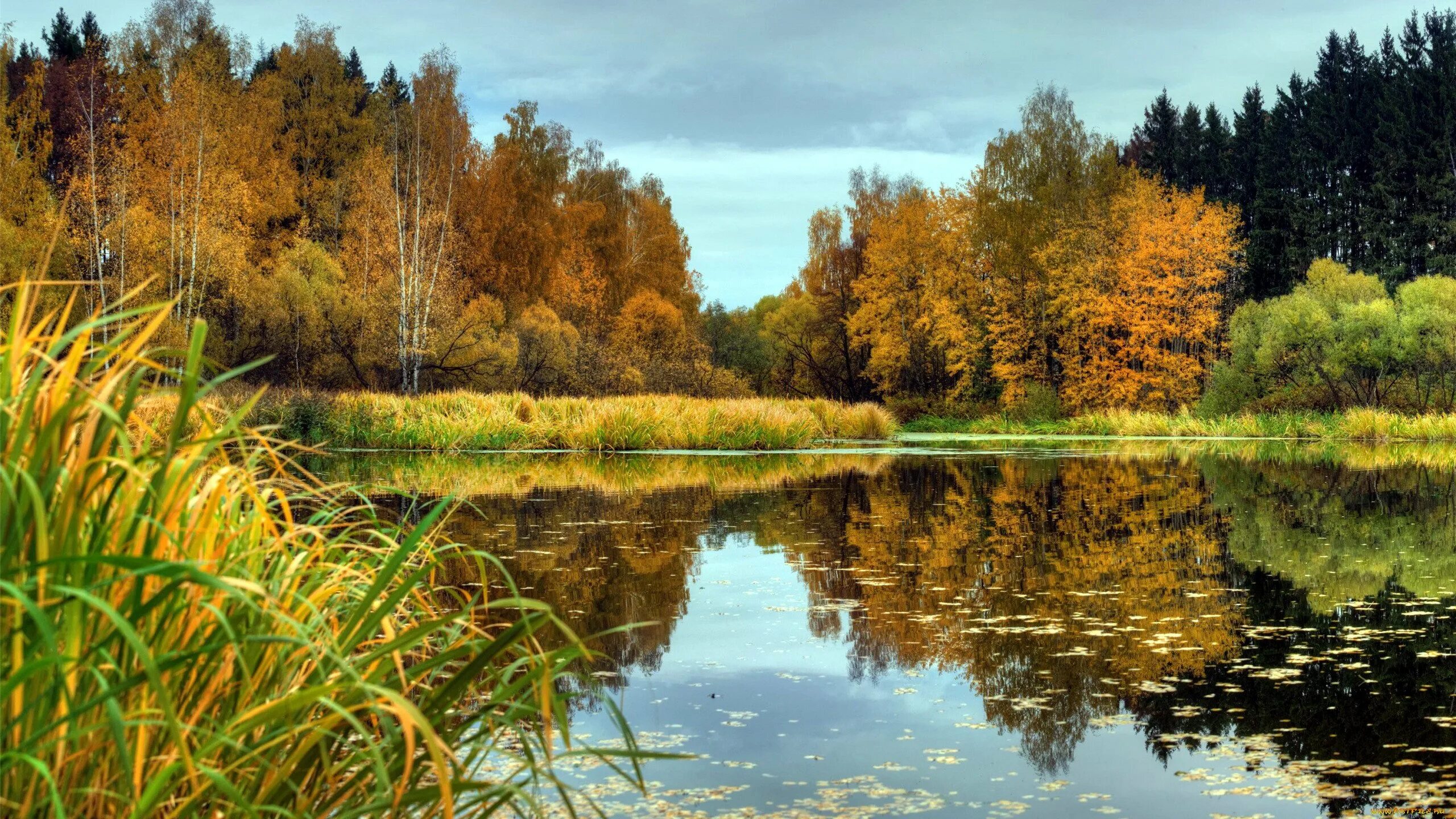 Осенний пейзаж. Осеннее озеро. Река в осеннем лесу. Речка в лесу осенью. 4 7 1024