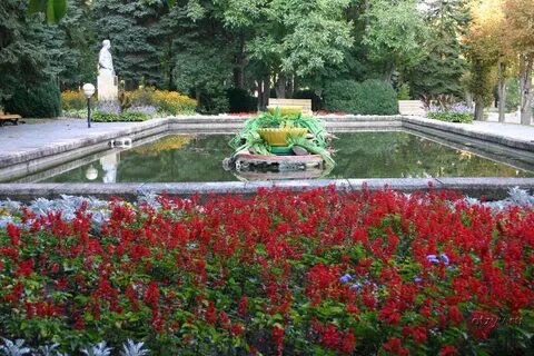 Сайт санатория металлург ессентуки