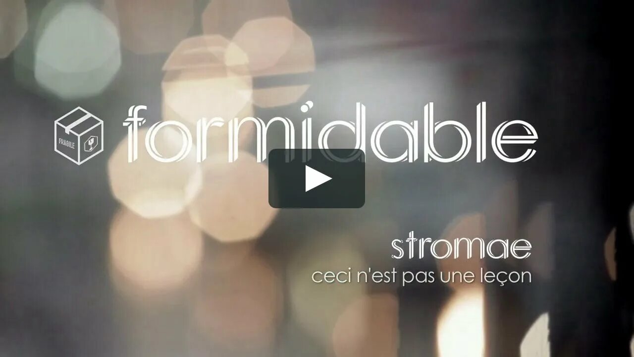 Стромае формидабле. Stromae Formidable клип. Stromae - Formidable (ceci n'est pas une leçon) перевод. Formidable перевод. Стромай формидабле перевод