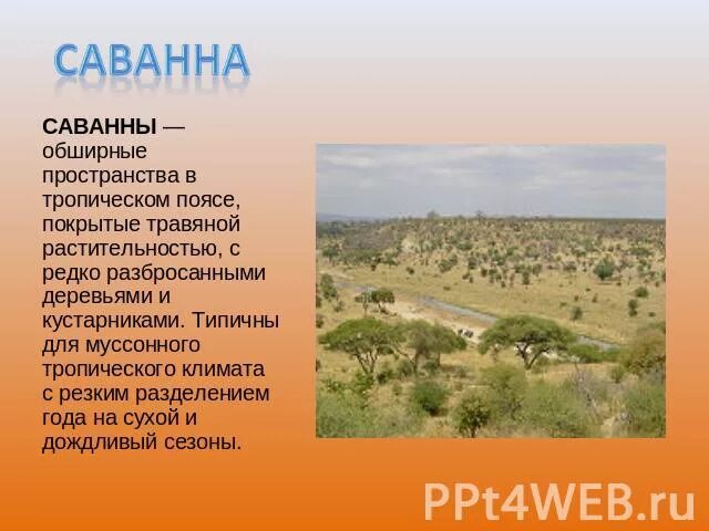 Характеристика саванны и редколесья. Характеристика зоны саванны. Растительный и животный мир саванны и редколесья. Саванна это природная зона. Саванна природная зона климат.