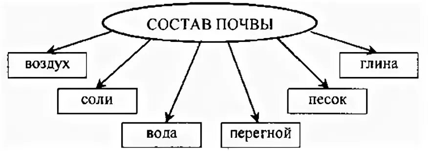 Какой ее состав