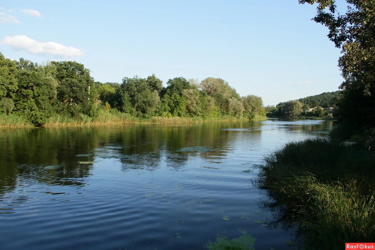 донец харьковская область. донец харьковская область. северский донец крутая гора. донец харьковская область. река северский донец ростовская область.