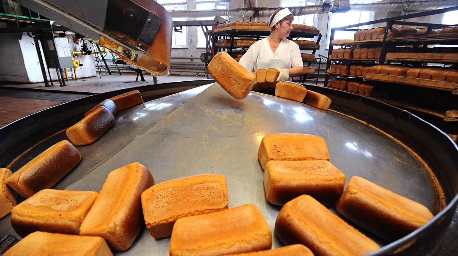 Хлеб на конвейере. Производители хлеба. Хлебный завод. Цех хлебобулочных изделий. Хлеб цех