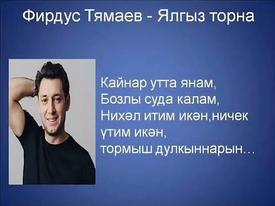 Песня ялгыз торна. Мин бит ялгыз торна. Фирдус тямаев ялгыз торна текст песни. Фурдус тамаеев ягыз торма. Тямаев песни ялгыз торна.