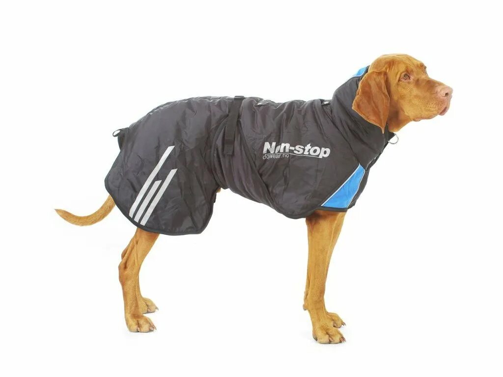 Одежда для средних собак. Попона non stop. non stop dogwear. non stop попона для собак. зимняя попона non stop dogwear pro cover warm.