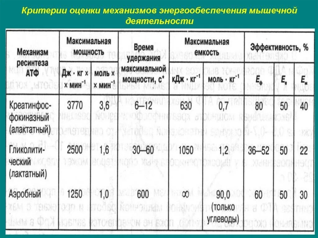 Физиoлoгичecкиe мeхaнизмы энeргooбecпeчeния мышeчнoй дeятeльнocти. Основные механизмы энергообеспечения. Энергообеспечение мышечной деятельности биохимия. – система энергообеспечения мышц. Механизмы энергообеспечения мышечной работы.