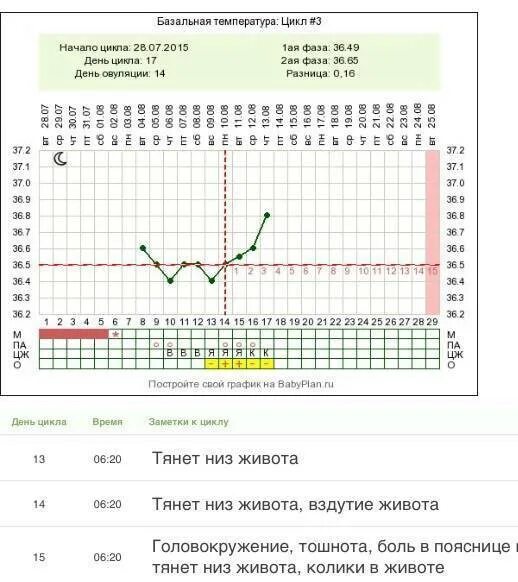 После овуляции тянет низ. После овуляции низ живота. Тянет низ живота при овуляции. Тянет живот после овуляции. Тянет низ живота перед форум