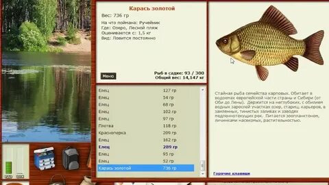 Рыбалка 3 карася