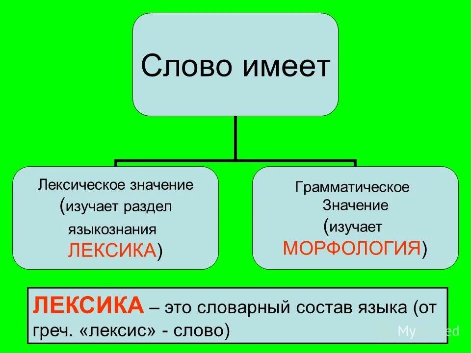 Слова имеющие лексическое значение. Что такое лексика и лексическое значение. Лексическое и грамматическое значение слова. Лексическое значение слова это.