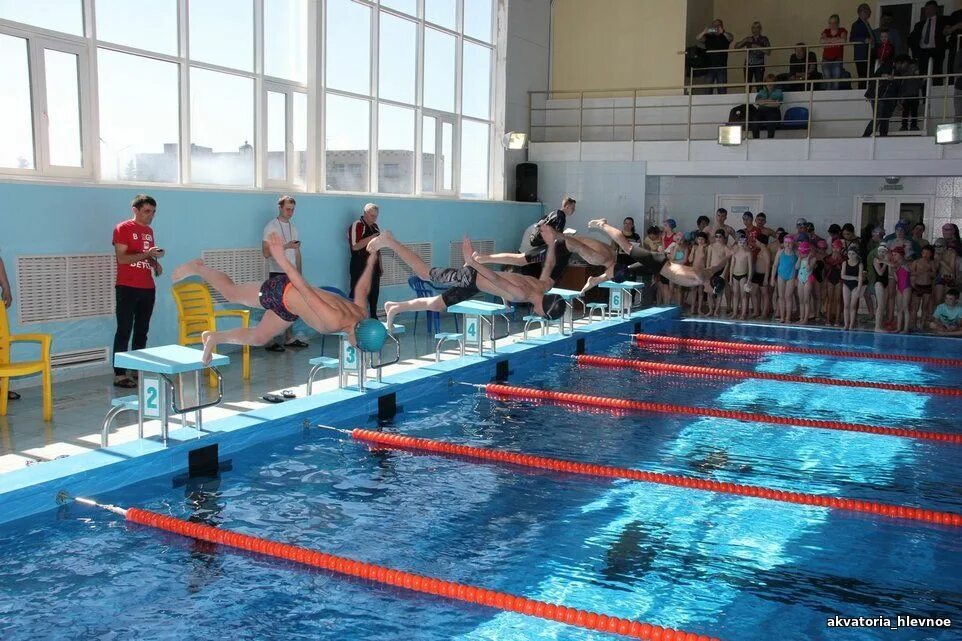 бассейн акватория сайт. бассейн акватория сайт. бассейн на вилиса лациса акватория тренеры. бассейн акватория вилиса лациса. акватория тушино бассейн.
