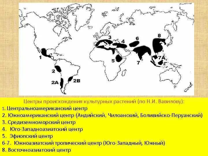 Центральноамериканский центр происхождения растений. Н И Вавилов центры происхождения культурных растений. Андийский центр происхождения культурных растений по Вавилову. Центры происхождения культурных растений карта.