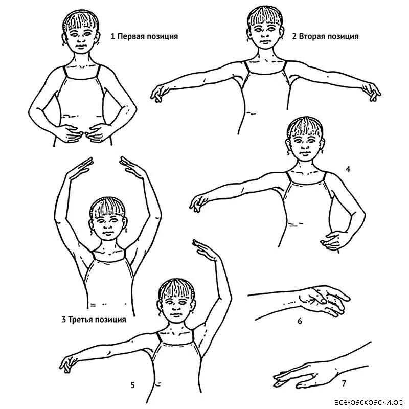 Вторая позиция рук. Первая позиция рук в хореографии. Позиции рук в классическом танце. Позиции в хореографии для детей. Балетные позиции рук для детей.